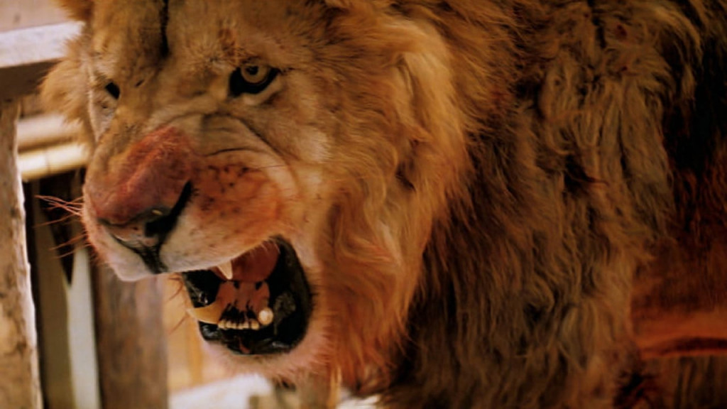 Roar exemplifies the old saying, "never work with animals" // Credit: Filmways Pictures