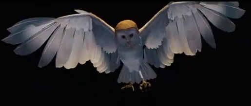 The CG owl in the Labyrinth opening // Credit: Tri-Star Pictures